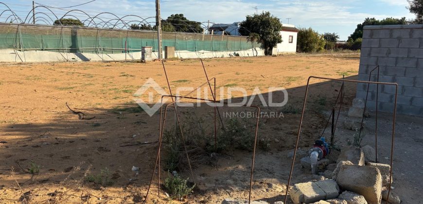 Terreno rústico con luz y escrituras independientes en La Jara