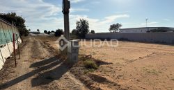 Terreno rústico con luz y escrituras independientes en La Jara