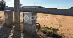 Terreno rústico con luz y escrituras independientes en La Jara