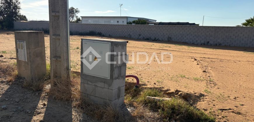 Terreno rústico con luz y escrituras independientes en La Jara