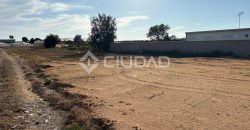 Terreno rústico con luz y escrituras independientes en La Jara