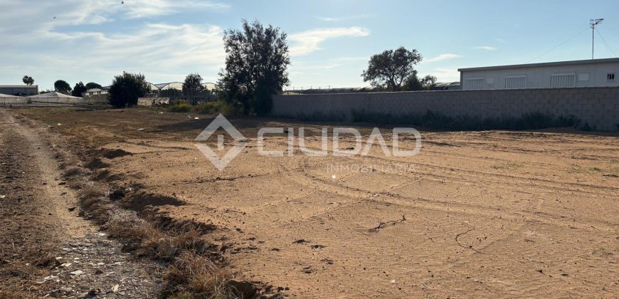 Terreno rústico con luz y escrituras independientes en La Jara
