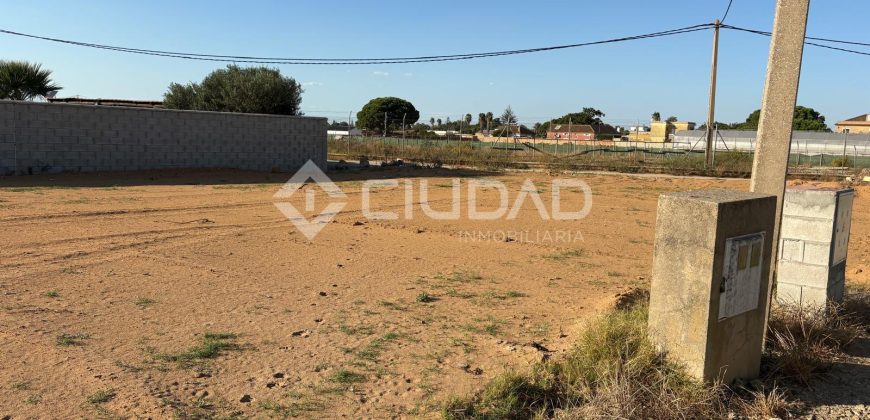 Terreno rústico con luz y escrituras independientes en La Jara