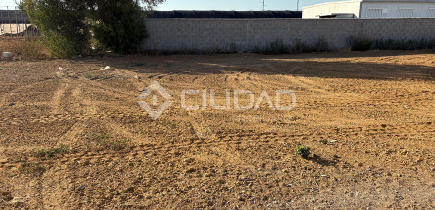 Terreno rústico con luz y escrituras independientes en La Jara