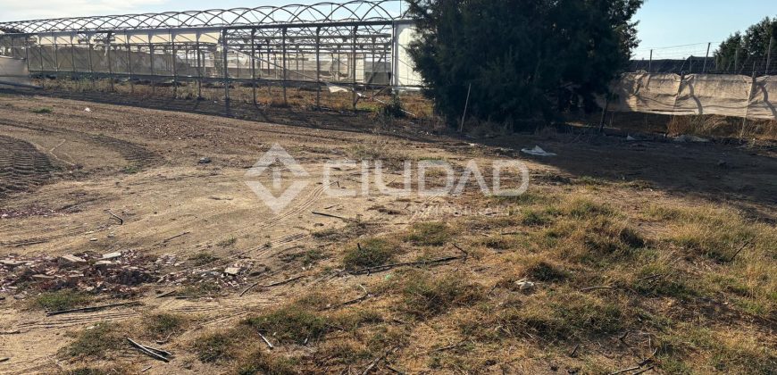 Terreno rústico con luz y escrituras independientes en La Jara