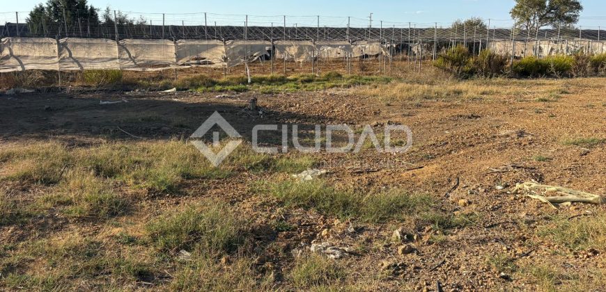 Terreno rústico con luz y escrituras independientes en La Jara