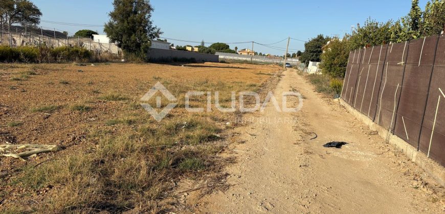 Terreno rústico con luz y escrituras independientes en La Jara