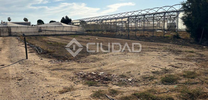 Terreno rústico con luz y escrituras independientes en La Jara