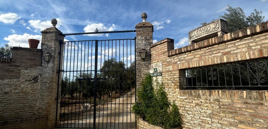 5 HECTAREAS DE OLIVAR GORDAL, CON