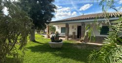 5 HECTAREAS DE OLIVAR GORDAL, CON