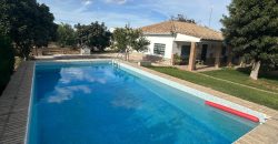 5 HECTAREAS DE OLIVAR GORDAL, CON