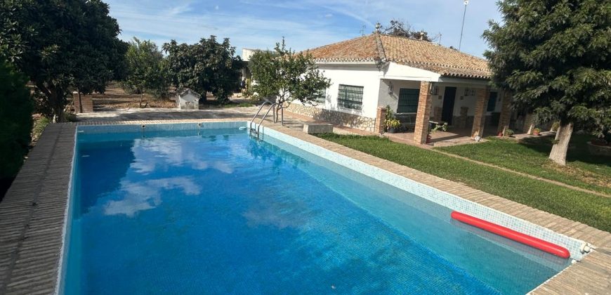 5 HECTAREAS DE OLIVAR GORDAL, CON