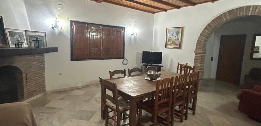 5 HECTAREAS DE OLIVAR GORDAL, CON