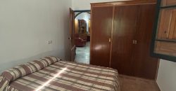 5 HECTAREAS DE OLIVAR GORDAL, CON