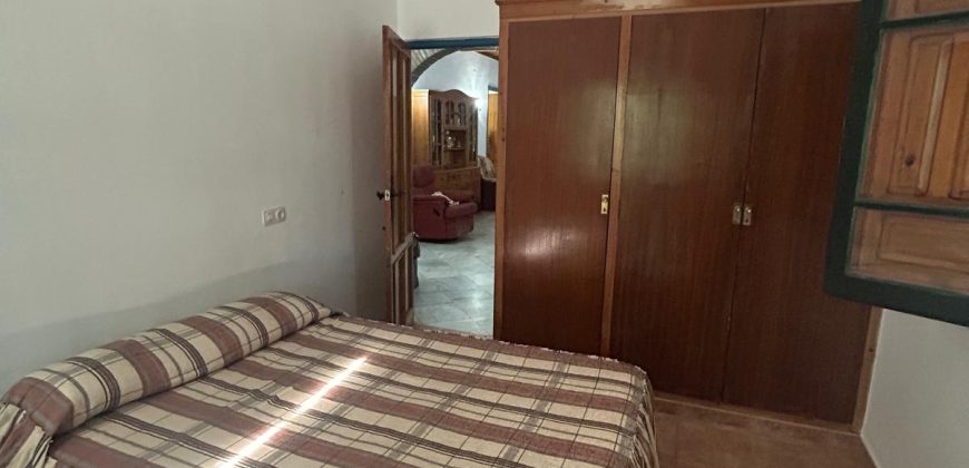 5 HECTAREAS DE OLIVAR GORDAL, CON