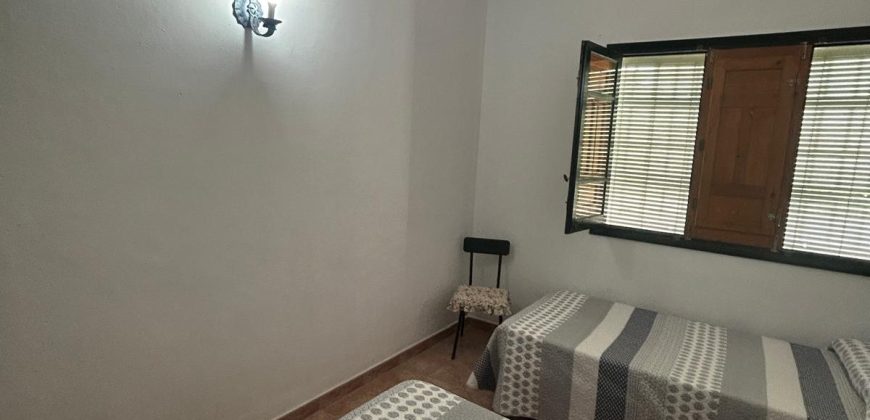 5 HECTAREAS DE OLIVAR GORDAL, CON