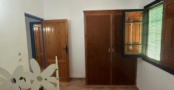 5 HECTAREAS DE OLIVAR GORDAL, CON