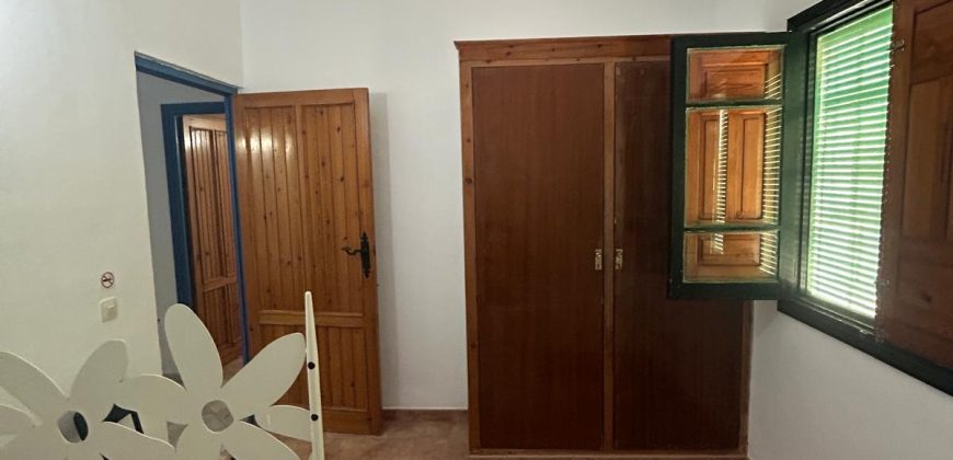 5 HECTAREAS DE OLIVAR GORDAL, CON