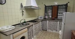 5 HECTAREAS DE OLIVAR GORDAL, CON
