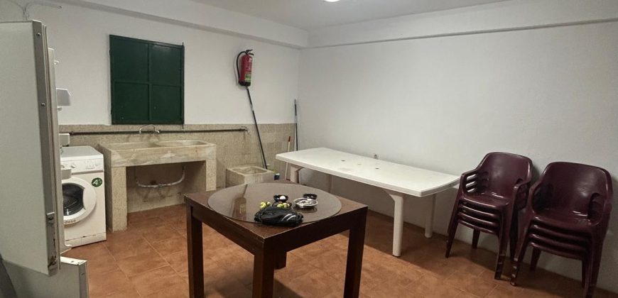 5 HECTAREAS DE OLIVAR GORDAL, CON