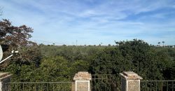 5 HECTAREAS DE OLIVAR GORDAL, CON