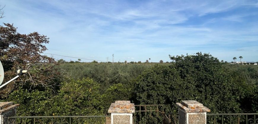 5 HECTAREAS DE OLIVAR GORDAL, CON