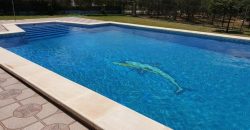 Amplio Campo con Casa y Piscina en Pago Redondo ! Morón de la Frontera.