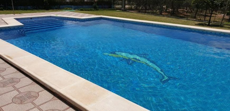 Amplio Campo con Casa y Piscina en Pago Redondo ! Morón de la Frontera.