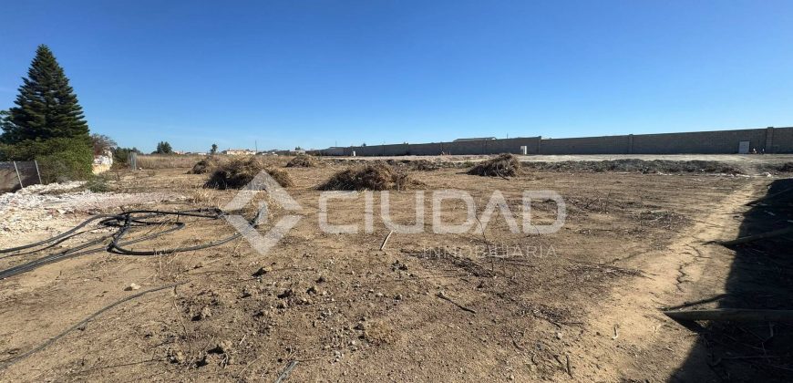 Terreno rústico 950m2 en La Dehesilla – Las Palmeras