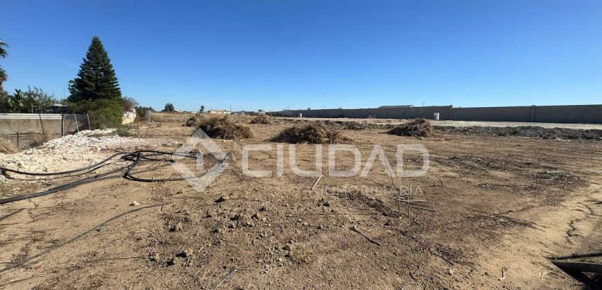 Terreno rústico 950m2 en La Dehesilla – Las Palmeras