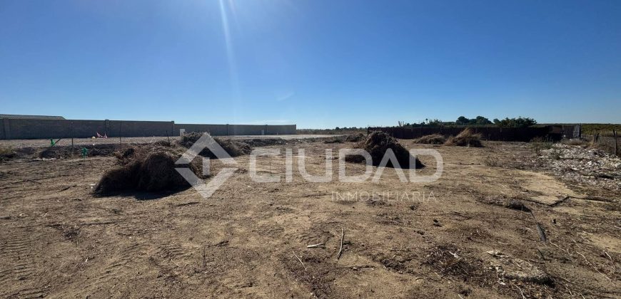 Terreno rústico 950m2 en La Dehesilla – Las Palmeras