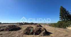Terreno rústico 950m2 en La Dehesilla – Las Palmeras