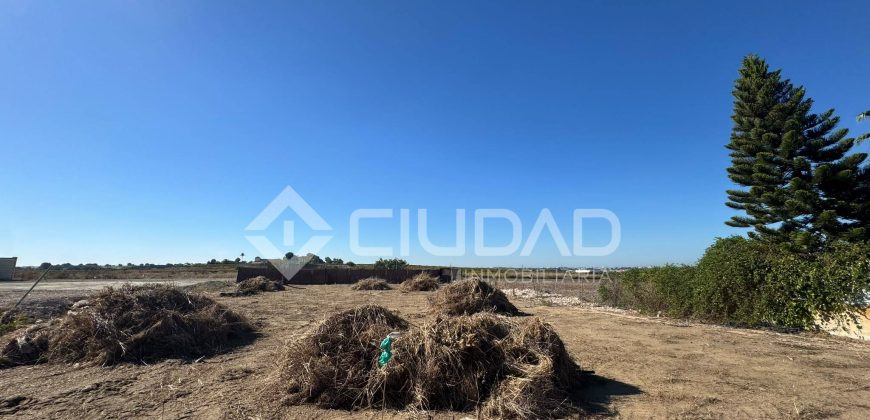 Terreno rústico 950m2 en La Dehesilla – Las Palmeras