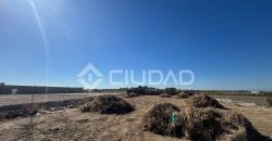 Terreno rústico 950m2 en La Dehesilla – Las Palmeras