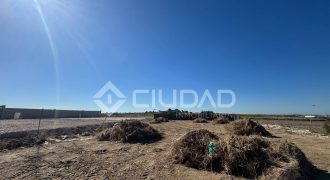 Terreno rústico 950m2 en La Dehesilla – Las Palmeras