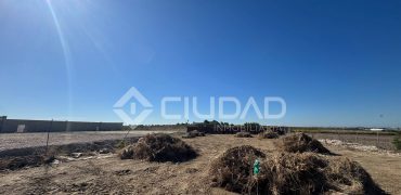 Terreno rústico 950m2 en La Dehesilla – Las Palmeras