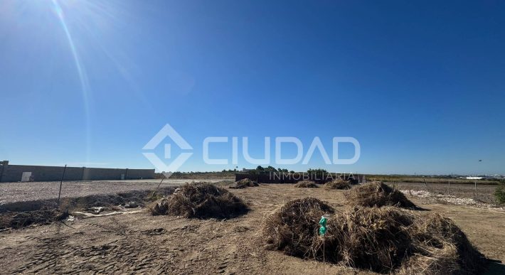 Terreno rústico 950m2 en La Dehesilla – Las Palmeras