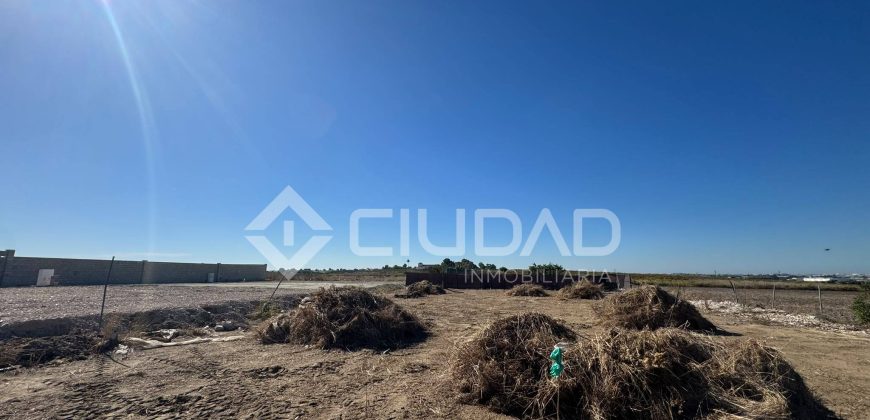Terreno rústico 950m2 en La Dehesilla – Las Palmeras
