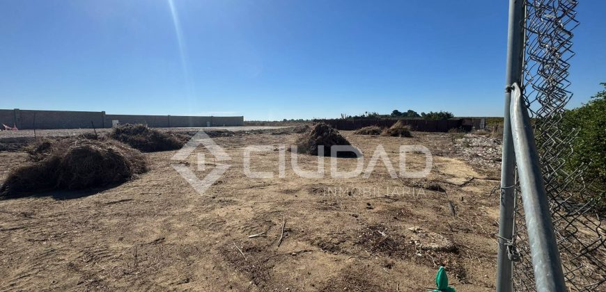 Terreno rústico 950m2 en La Dehesilla – Las Palmeras