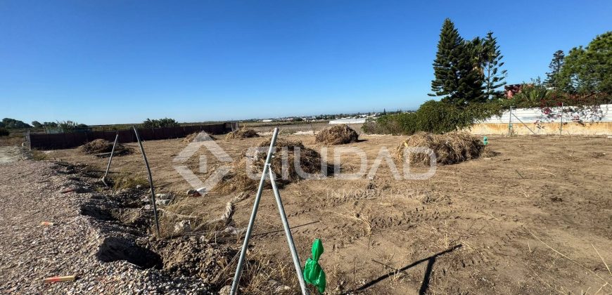 Terreno rústico 950m2 en La Dehesilla – Las Palmeras