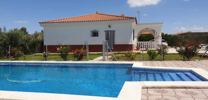 Amplio Campo con Casa y Piscina en Pago Redondo ! Morón de la Frontera.