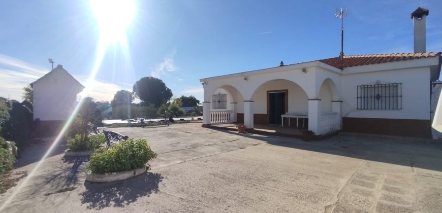 Amplio Campo con Casa y Piscina en Pago Redondo ! Morón de la Frontera.